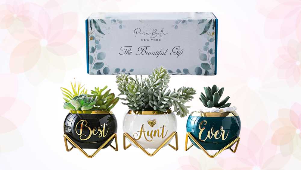 Mug and wine glass rack with fun messages