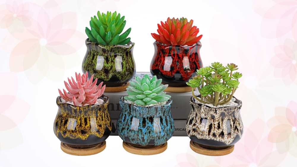 Three succulent pots with best aunt ever written