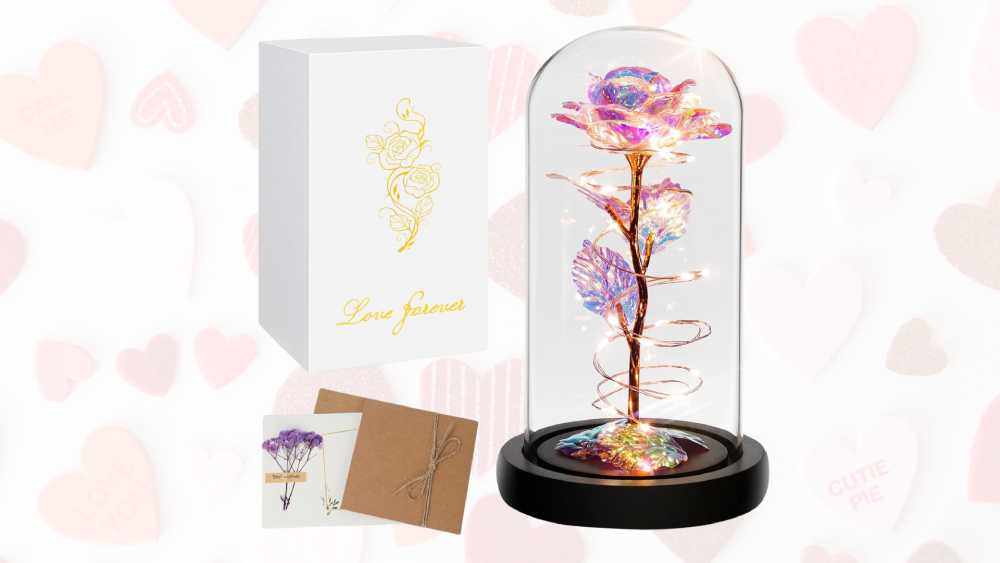 Lit up rainbow rose encased in glass dome