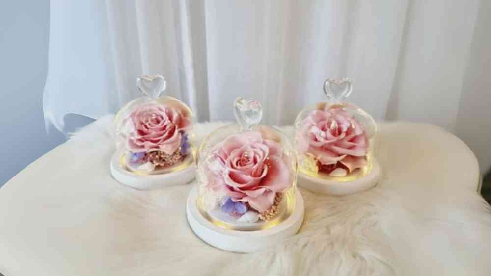 Preserved rose in heart tipped glass dome with LED