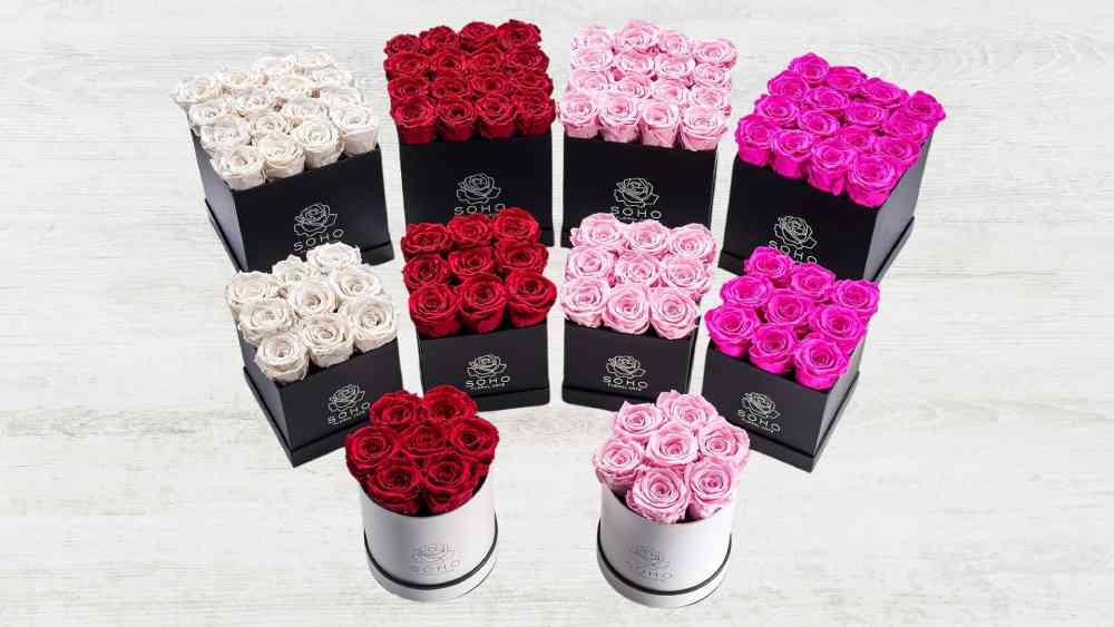 Box of preserved roses with color and size options