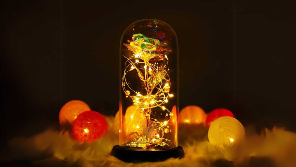 Beauty and the beast rose in glass dome