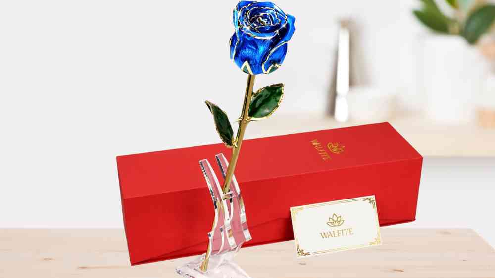 Gold dipped preserved rose with various color options