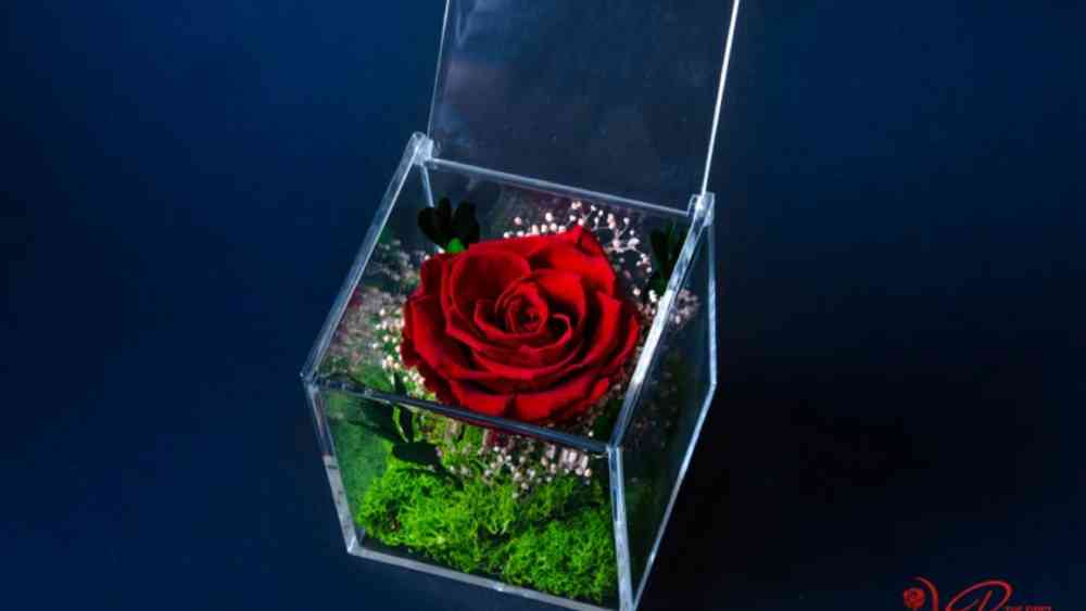 Acrylic box of a variety of preserved flowers