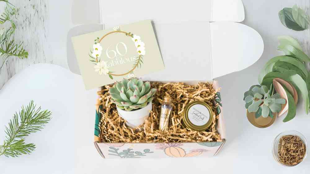 Succulent Gift Basket Birthday Gift For Her