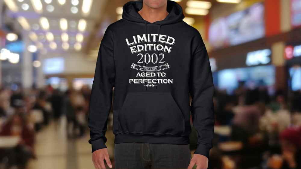 Hoodie with color options and vintage 2004 print