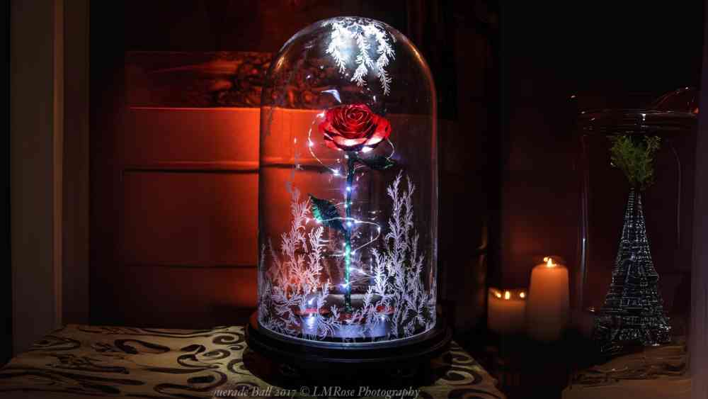 Preserved enchanted rose in a dome with lights