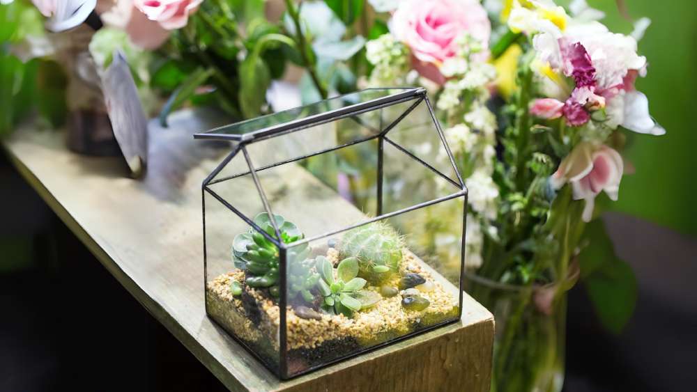 Small house shaped glass terrarium with swing lid