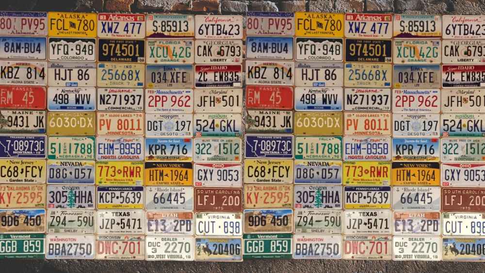 Complete fifty united states license plate collection gift