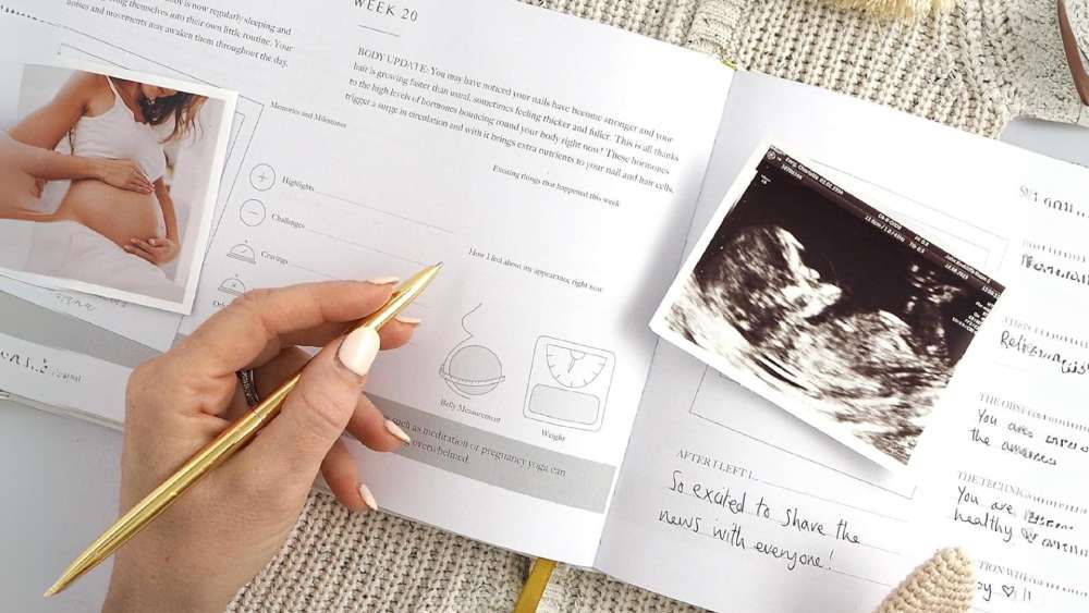250 Pages Pregnancy Journal from Bibi & Beau