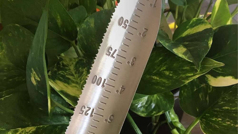 Gardening Knife Designed for all Gardening Needs