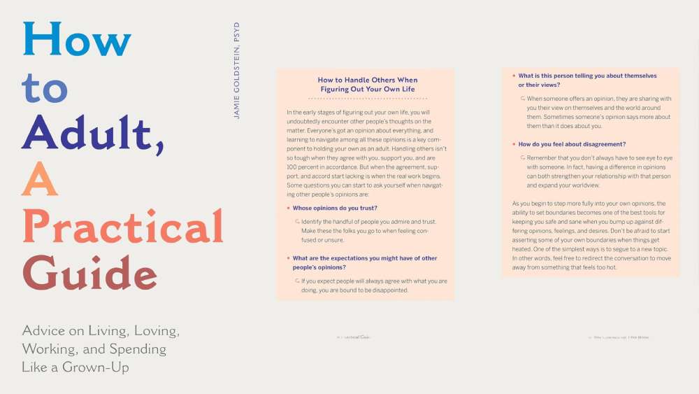 How to adult a practical guide gift book
