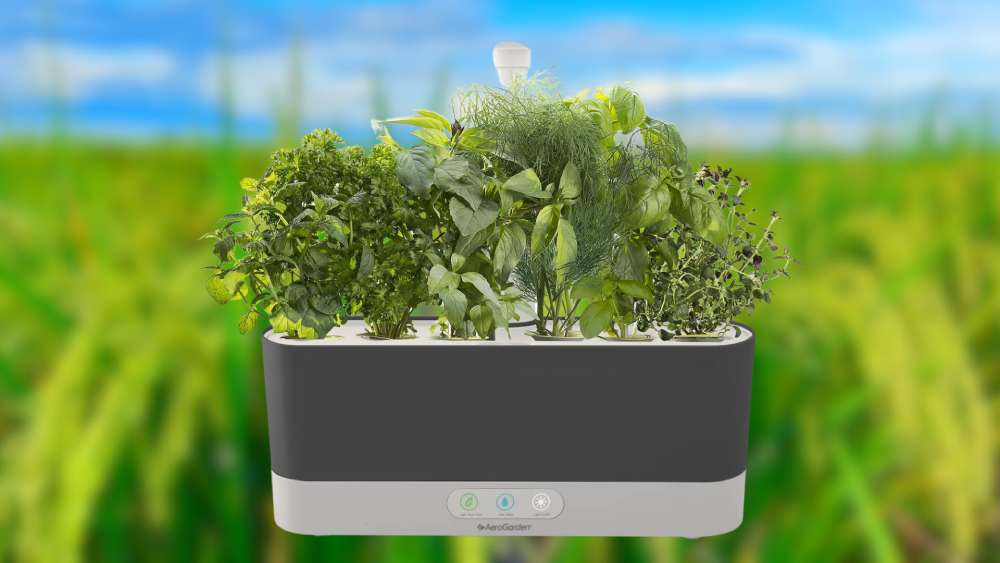 AeroGarden Harvest Elite Slim Hydroponic Indoor Garden