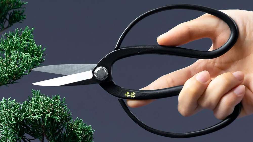 Pruning Bonsai with this Bonsai Scissors