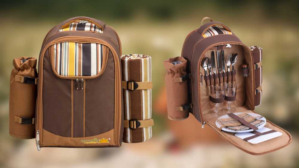 Stylish Apollo Walker Picnic Backpack