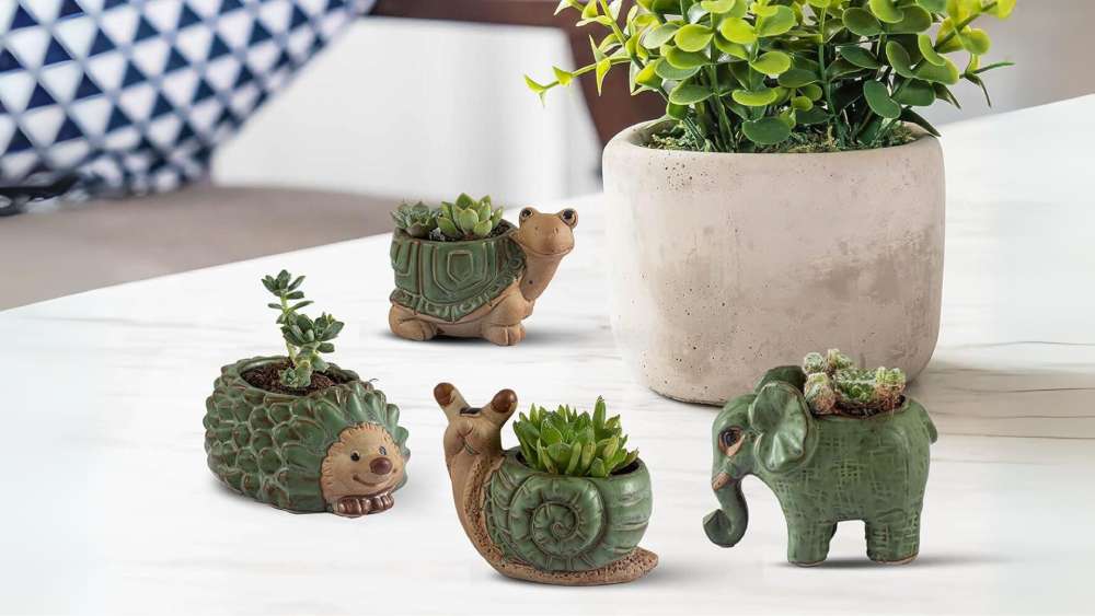 Small Succulent Pots Shape of an Animal