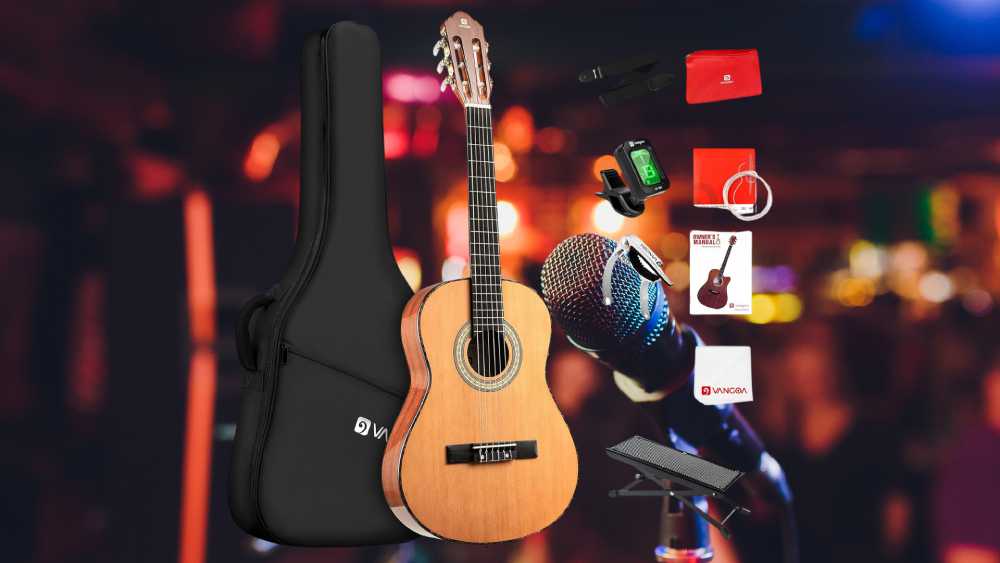 Professional Grade Acoustic Guitar