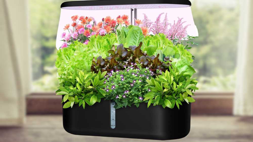 Indoor Herb Garden Starter Kit