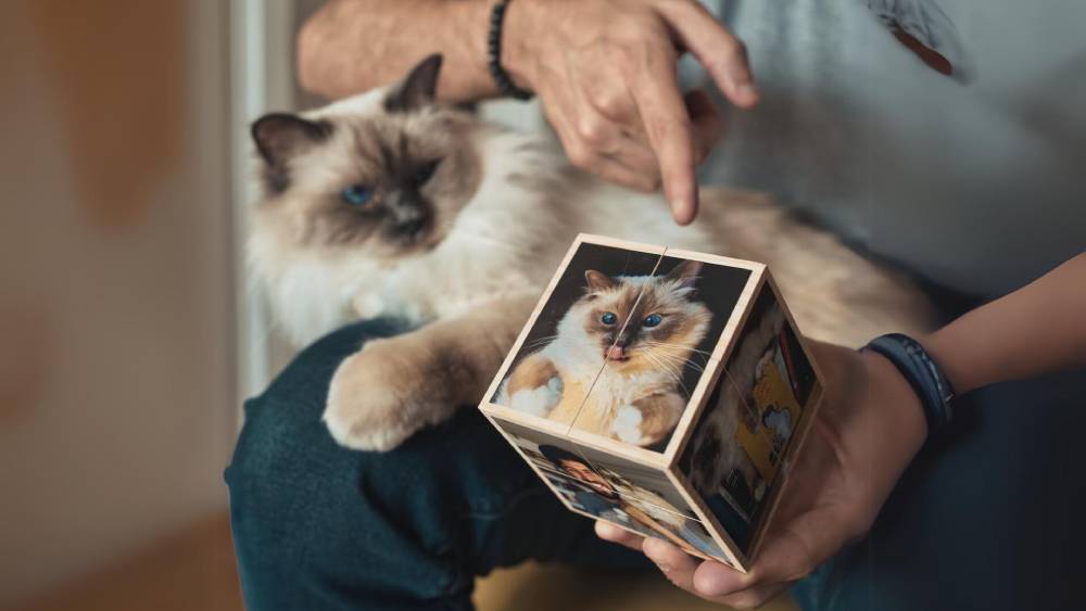Photo cube Personalized Anniversary Gift