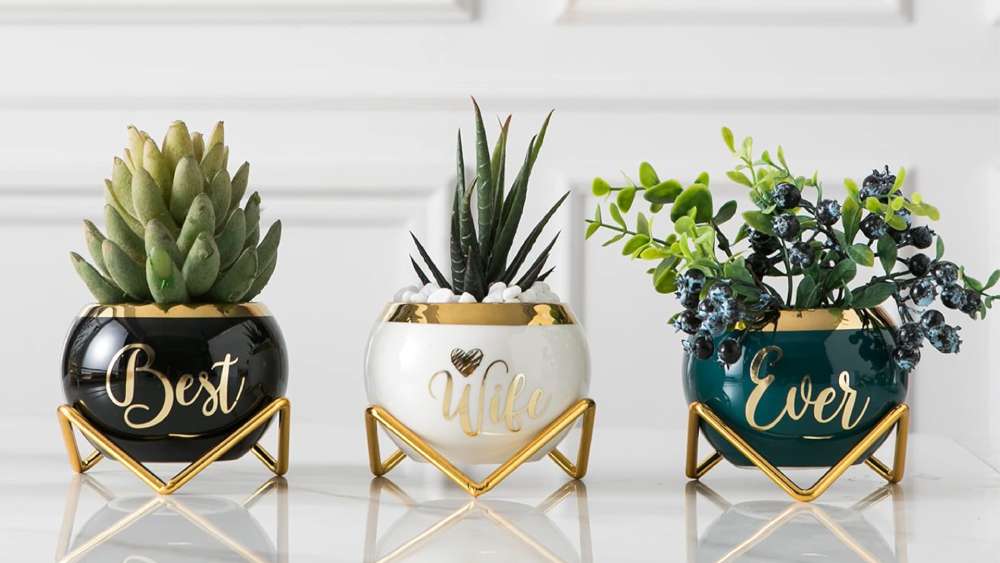Three Succulent Pots with Drainage Holes