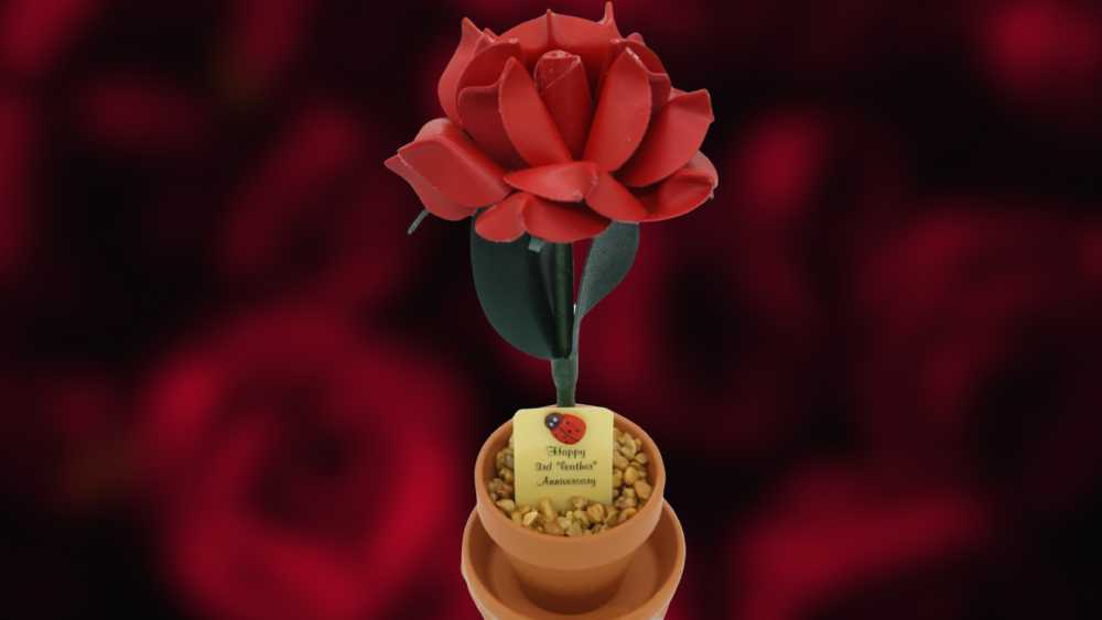 Potted Leather Desk Rose in Pot