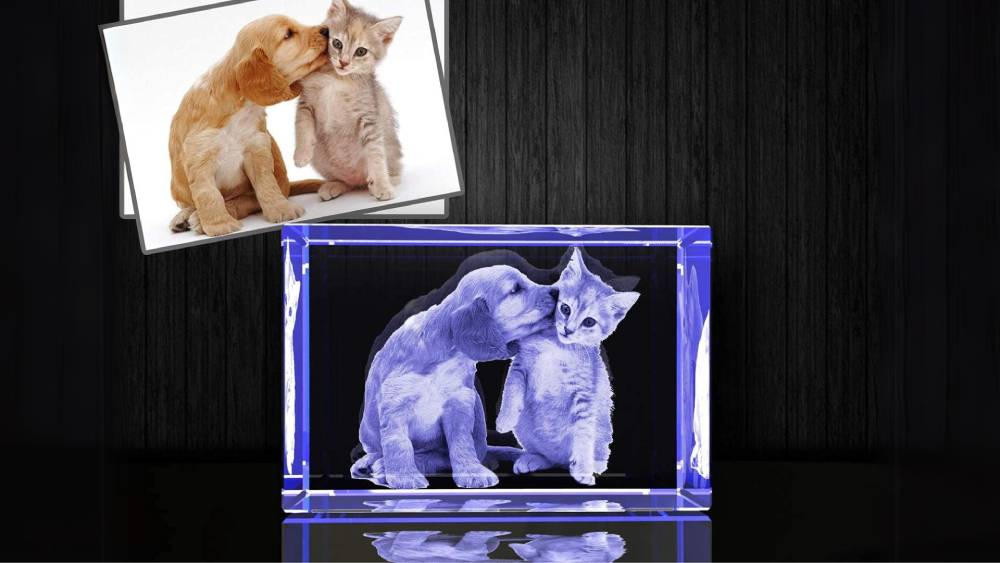3D Holographic Photo Great on Tables