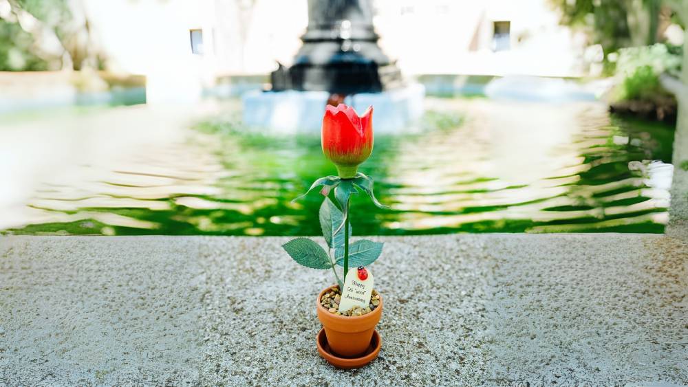 Potted Wood Desk 7 inch tall Rose