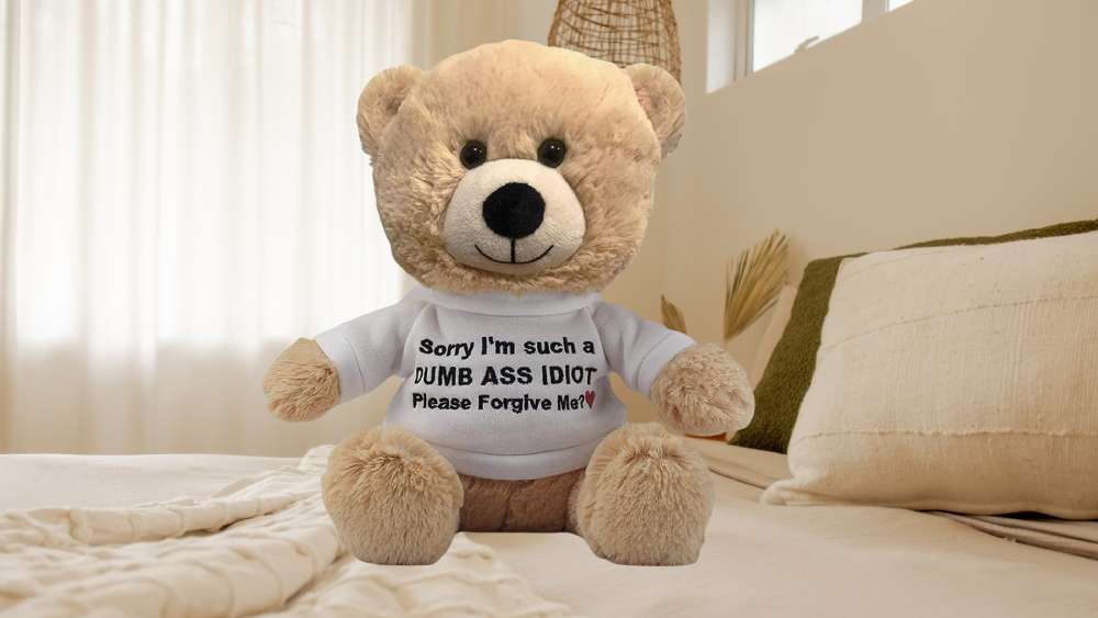 Please Forgive Me cute Teddy Bear