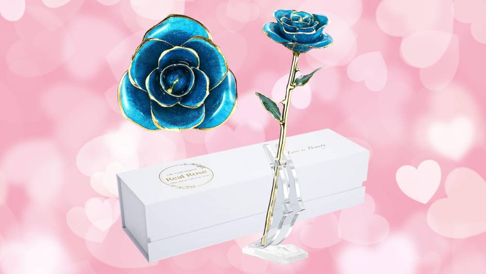 Classic 24K Gold Dipped Eternity Rose