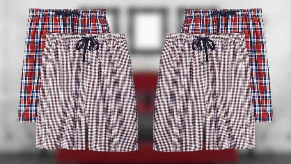 Hanes Men's 2-Pack Woven Pajama Short