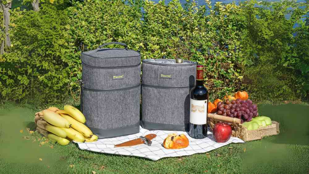2 Bottle Wine Carrier