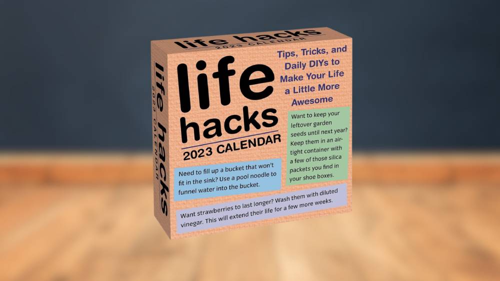 Life Hacks 2023 Day to Day Calendar