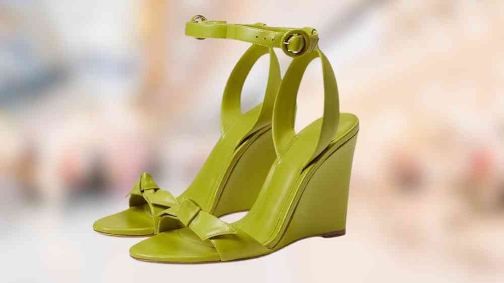 Classy and chic Alexandre Birman Wedge