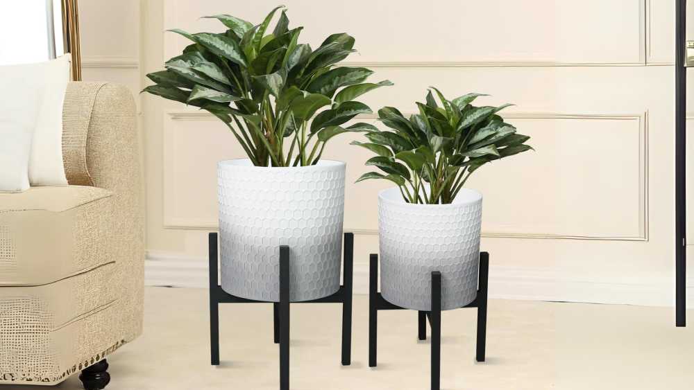 White Ceramic Plant Pot With Wooden Stand