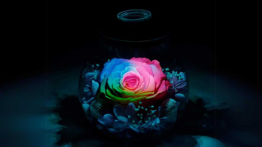 Preserved Real Roses with Colorful Mood Light Bottle