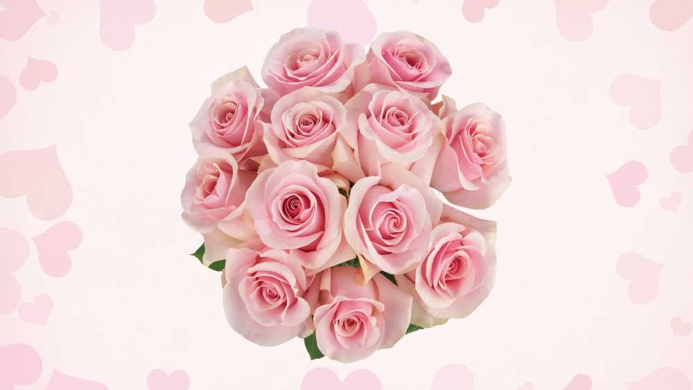 Multicolor Roses Bouquet Fresh Flowers Valentine Day Gifts