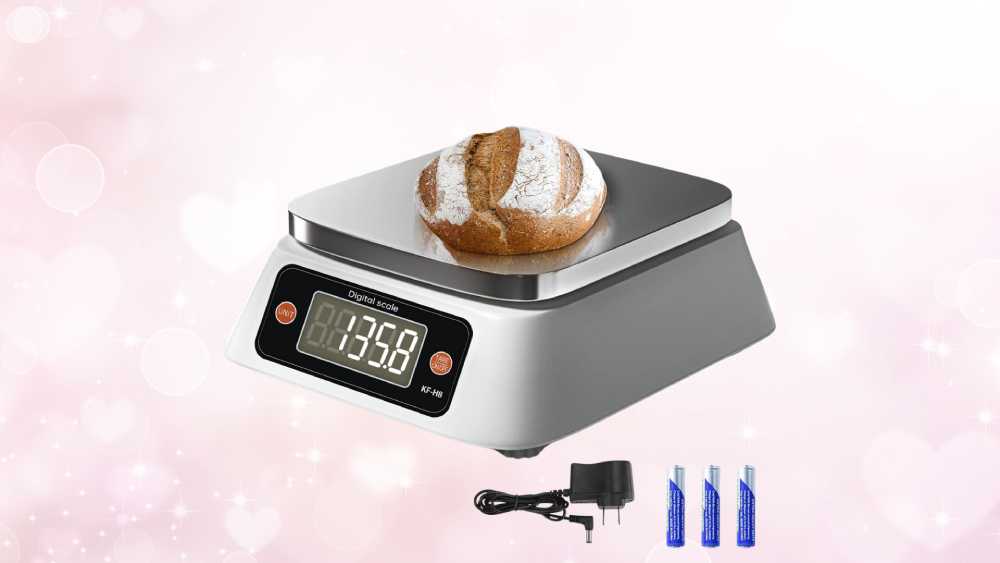 Digital food scale