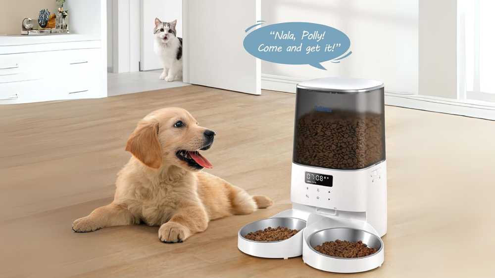 Automatic Cat Feeders Smart Pet Food Dispenser