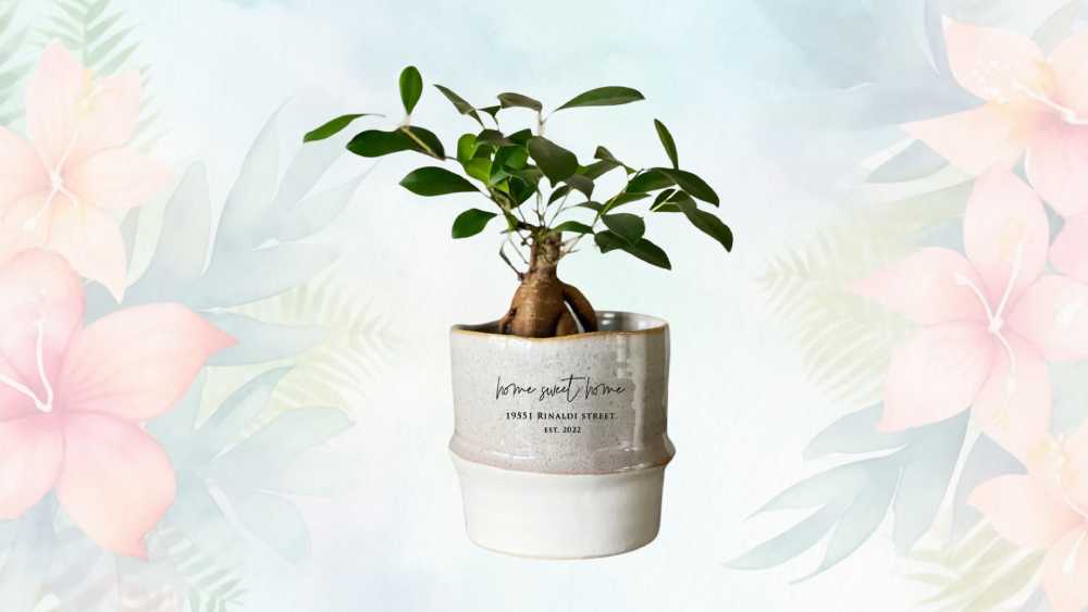 Handmade ceramic planter gift with personalization options