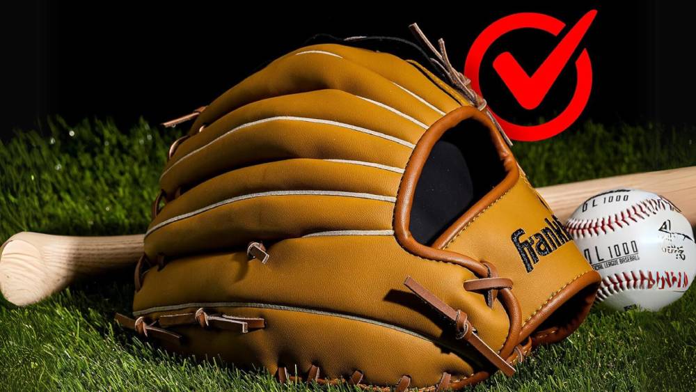 Franklin Sports Baseball Field Master Softball Mitt