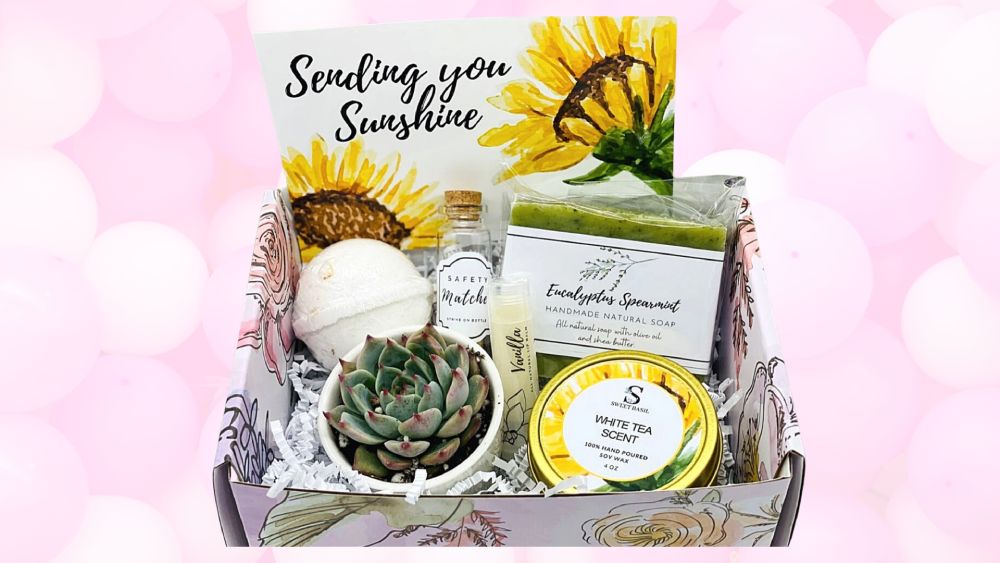 Cute Succulent Gift Box