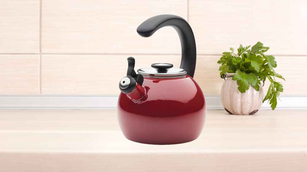 Stainless steel Kettle gift for boiling water and hot drinks