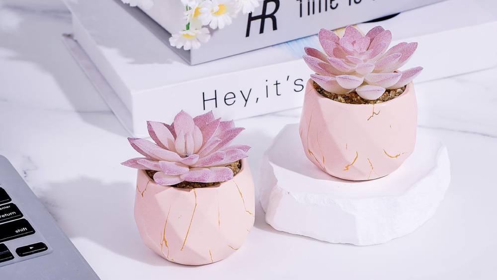 Pink succulent décor