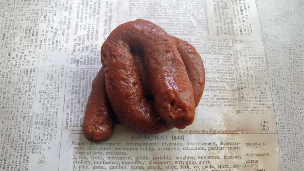 Fake dog poop realistic poop soap