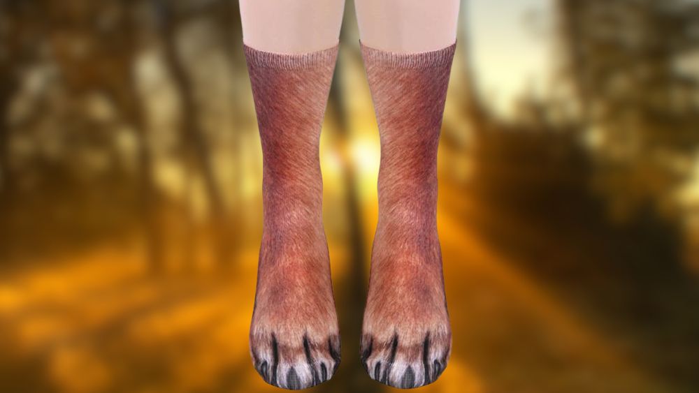 Animal Paw socks funny socks Funny Gifts