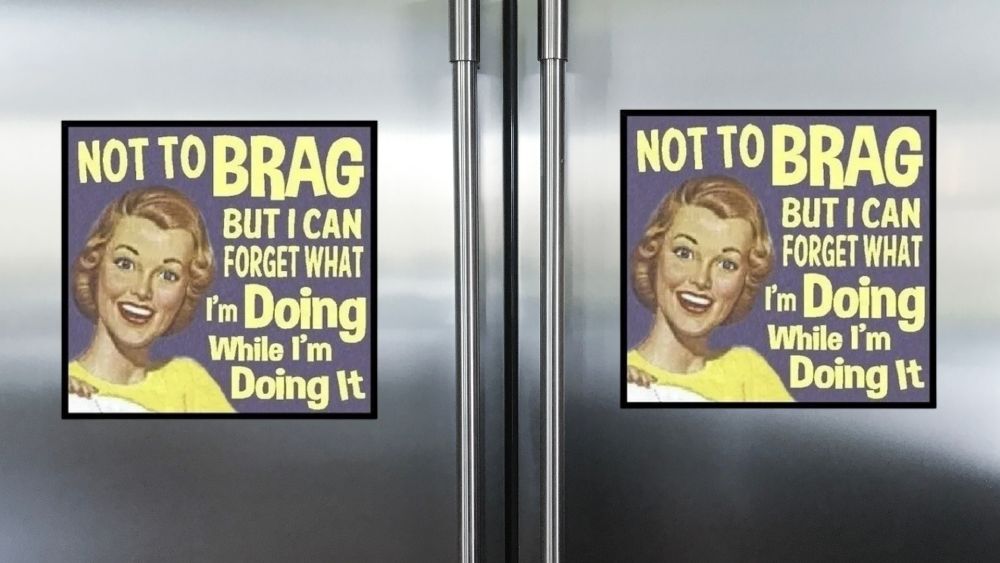 Funny retro ref magnet Funny Gifts