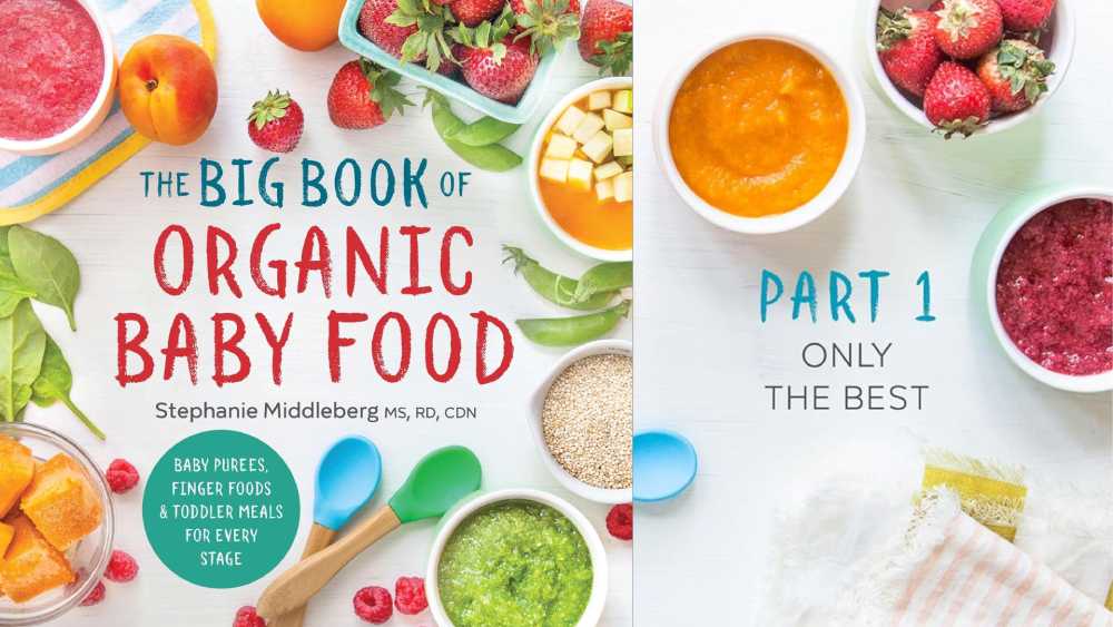 The big book of organic baby food for first time parents
