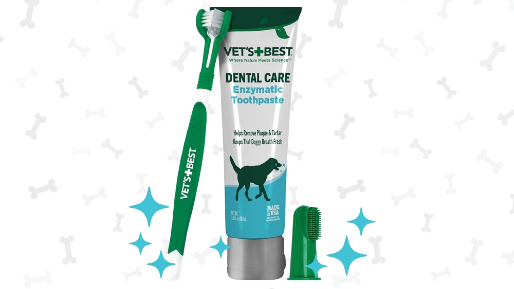 Gift Ideas for Fur Moms