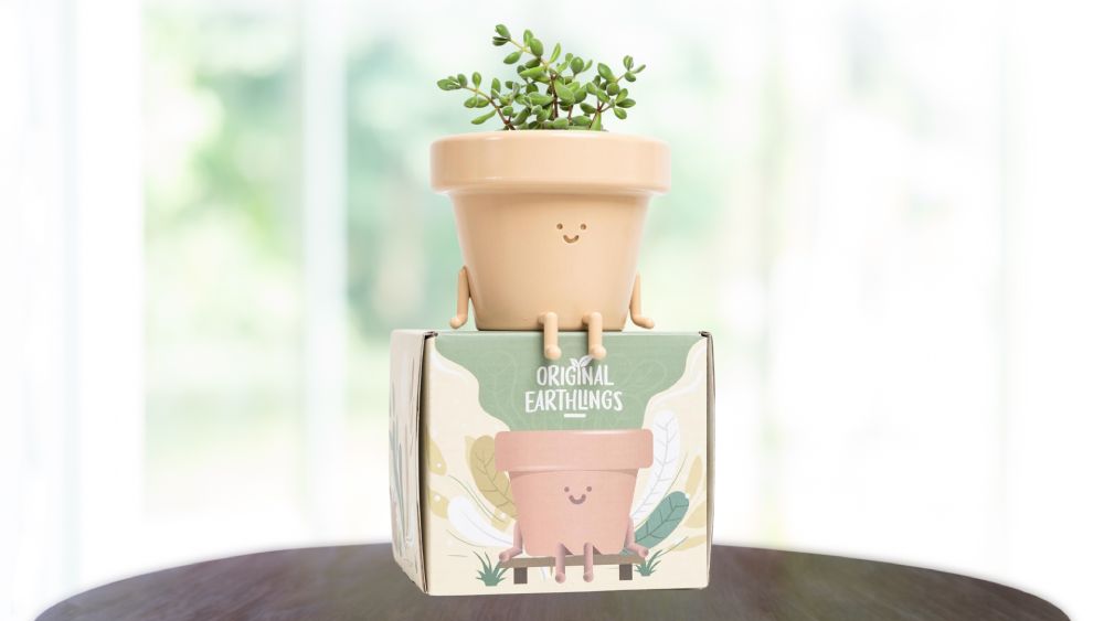Plant pot with legs and hands