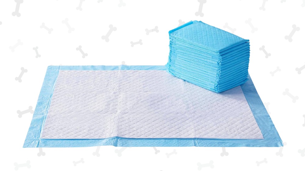 Pee pads for clean floor